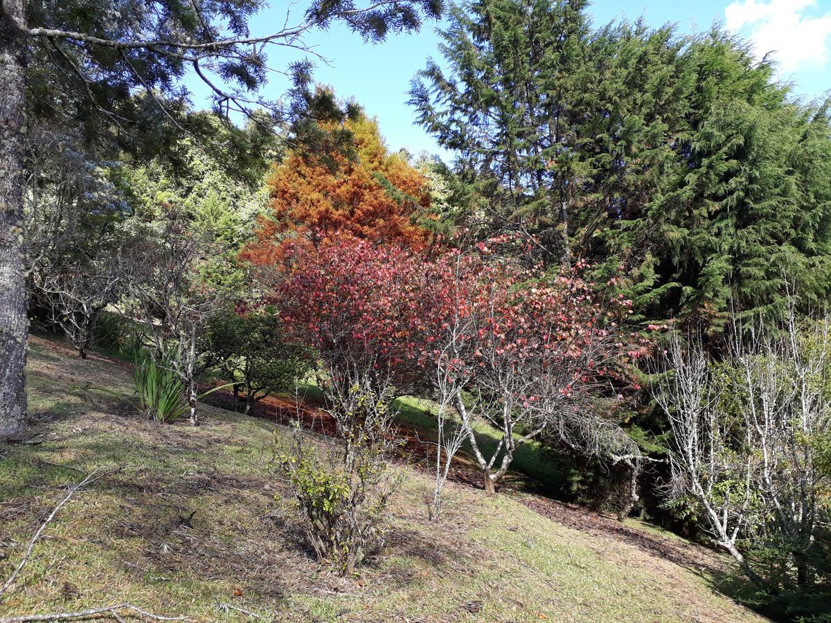 Apartmán Morada Valbelle Monte Verde  Exteriér fotografie